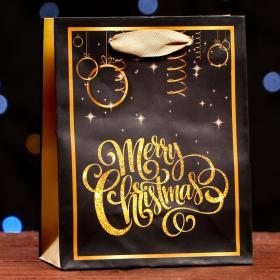 Подарочная упаковка Пакет ламинированный Merry Christmas, 11,5 х 14,5 х 6 см. фото