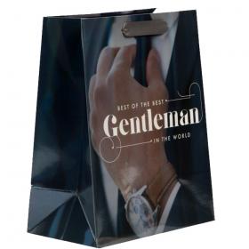 Подарочная упаковка Пакет ламинированный Джентельмен, 18 х 23 х 10 см. фото