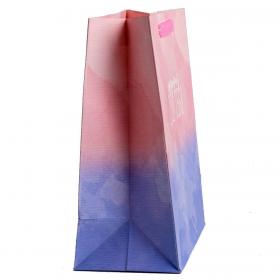 Подарочная упаковка Пакет ламинированный вертикальный Сюрприз для тебя, 23  27  11,5 см. фото