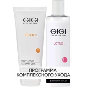 GiGi Программа GiGi очищение гель 200 мл  тоник 250 мл. фото