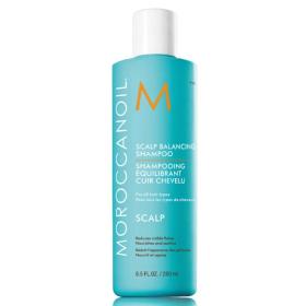 Moroccanoil Бессульфатный балансирующий шампунь для кожи головы, 250 мл. фото