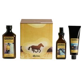 Davines Набор для мужчин шампунь 200 мл  паста для укладки 125 мл  крем после бритья 100 мл. фото