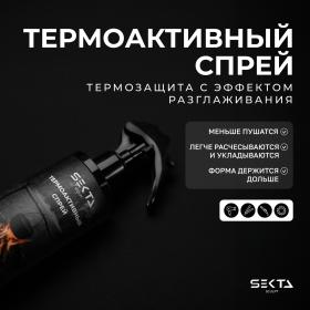 Sekta Несмываемый термоактивный спрей, 200 мл. фото