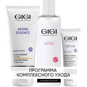 GiGi Программа GiGi очищение и основной уход жидкое мыло 200 мл  тоник 250 мл  крем 50 мл. фото