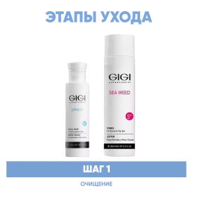 GiGi Программа GiGi очищение жидкое мыло 120 мл  тоник 250 мл. фото