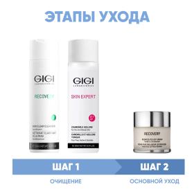 GiGi Программа GiGi очищение и основной уход гель 250 мл  лосьон 250 мл  крем 50 мл. фото