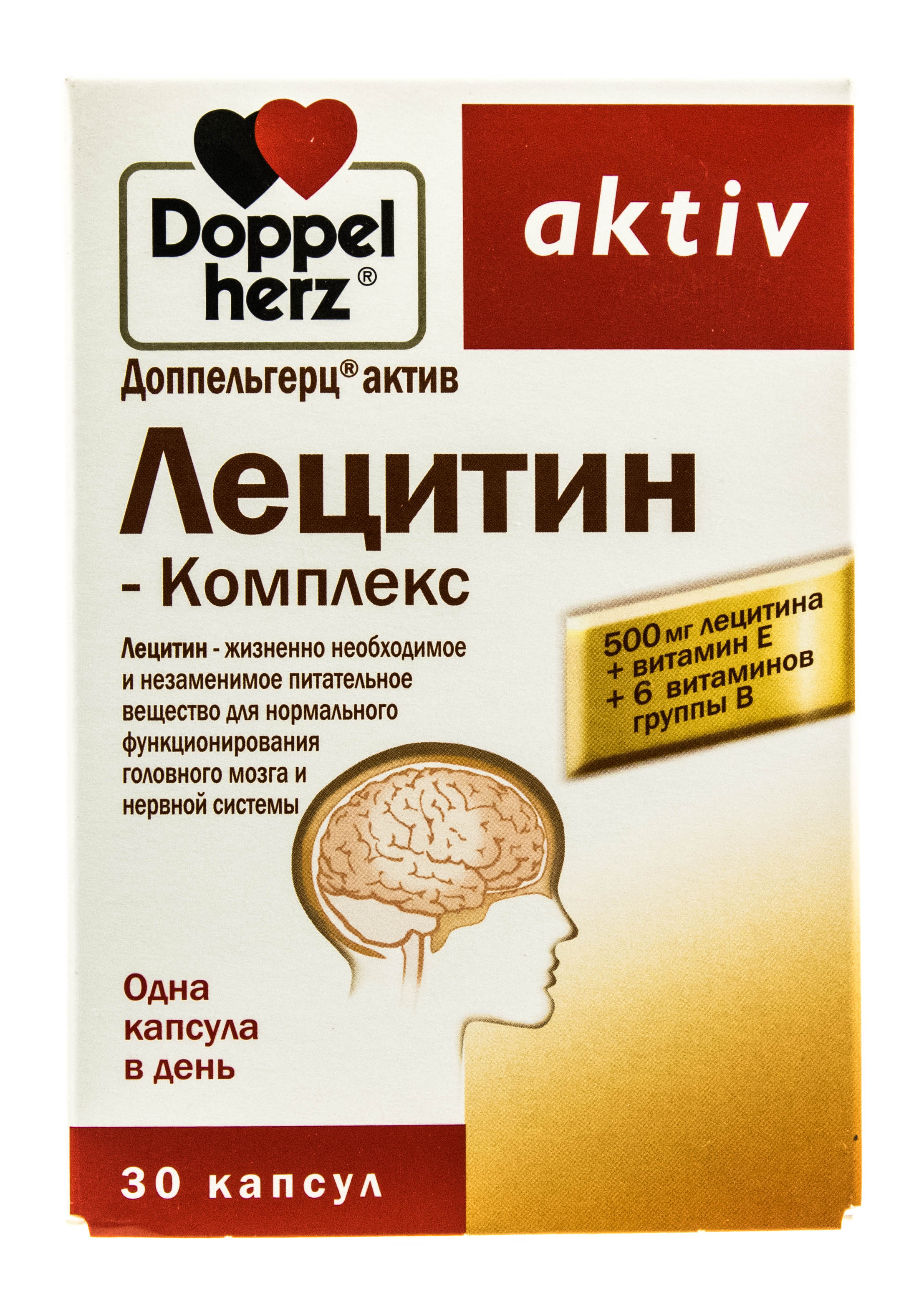 Герц для мозга. Звуковое излучение. Альфа ритм бета ритм тета ритм дельта ритм ээг. Искусственный интеллект волны. Альфа ритм бета ритм тета ритм дельта ритм ээг.