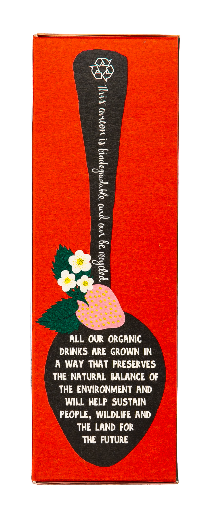 Клиппер Зеленый с клубникой Органик 20 пак. (Clipper, Green Tea) фото 4