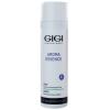 ДжиДжи Мыло жидкое для жирной кожи, 250 мл (GiGi, Aroma Essence) фото 3